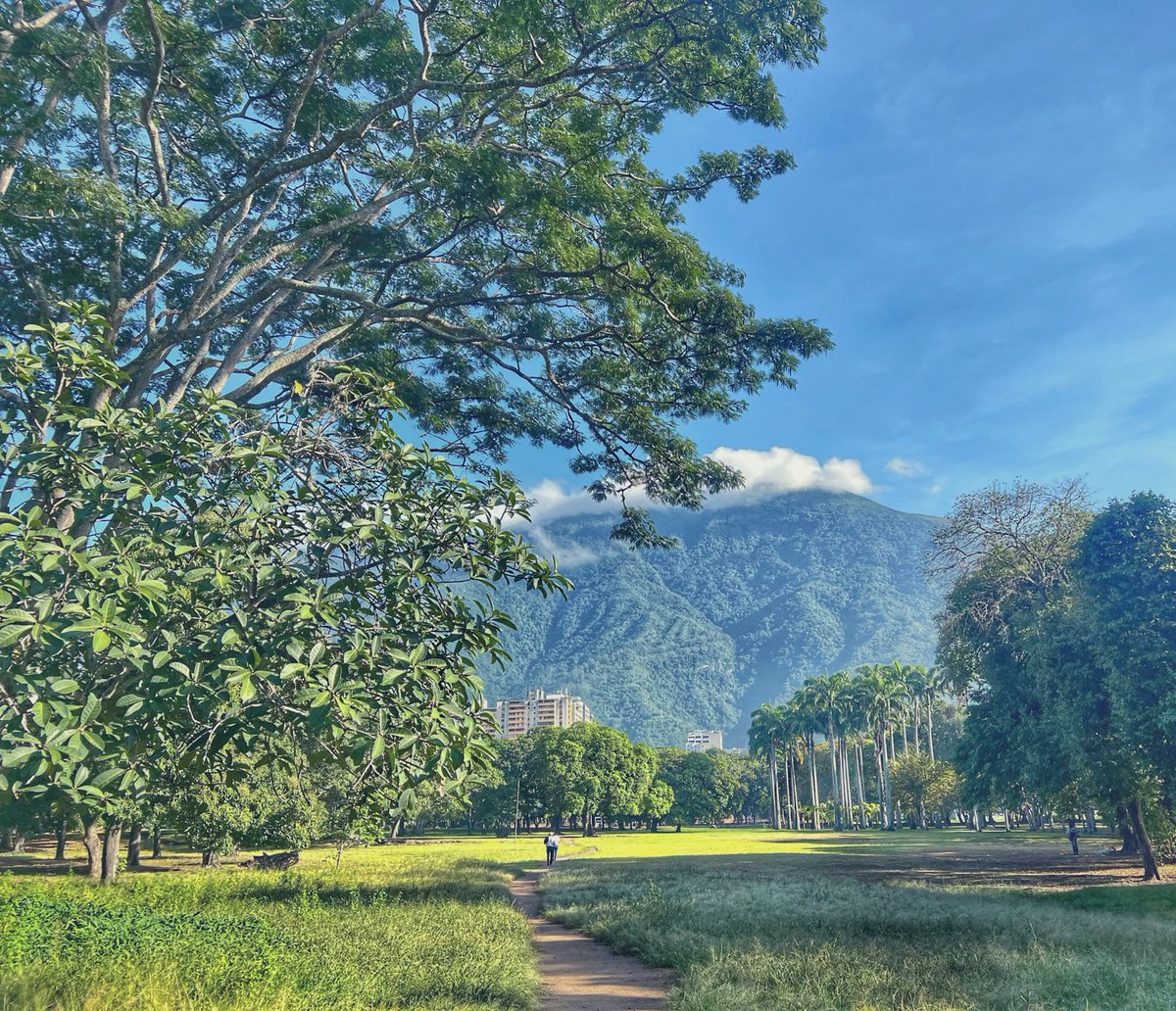 “Al andar se hace el camino,
y al volver la vista atrás
se ve la senda que nunca
se ha de volver a pisar.
Caminante, no hay camino,
sino estelas en la mar”.

Unos versos de Antonio Machado para esta foto que tomé ayer.
