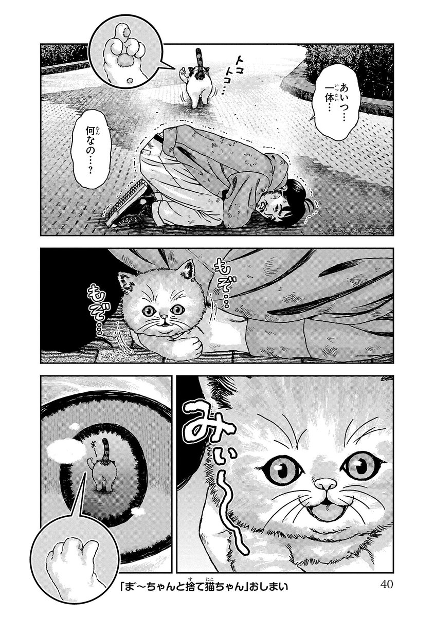 かわいい子猫が捨て猫を救う話(4/4) 
