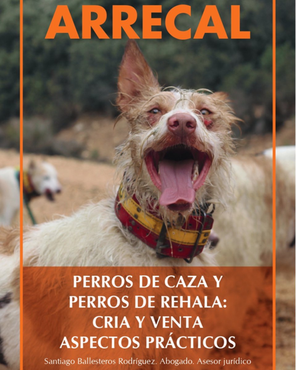 trofeocaza's tweet photo. ARRECAL ha publicado un documento para aclarar todas las cuestiones relacionadas con la cría y venta de perros de caza y de rehala 👏🐶
Entérate de todo en nuestra web: https://t.co/9Nl7mZIgdK
#trofeocaza #revistatrofeo #rehalas #perrosdecaza #cuidadoanimal #cazadores #caza https://t.co/mPbedHZEmt