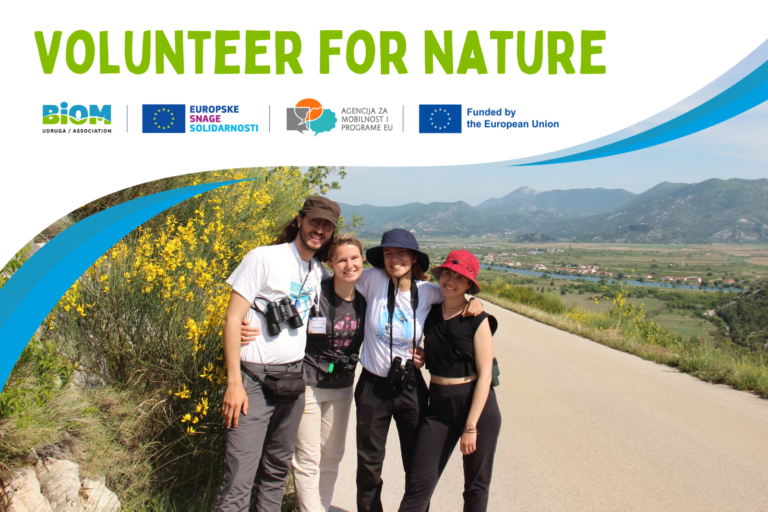 Here is a long-term volunteering opportunity within the European Solidarity Corps program, check it out! 👇
biom.hr/en/volunteer-f…

#ESC #Volunteers #birds #nature
