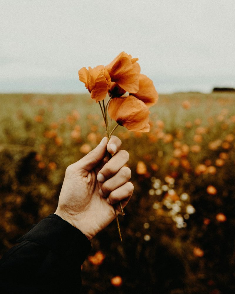 TherapyHarley's tweet photo. 🌟 Rewind Trauma Therapy 🌟 by Brigida Walkin

Rewind Trauma Therapy is an innovative approach to reducing symptoms of PTSD and trauma and can further alleviate anxiety and depression symptoms.

📸 Photo by Flavio on Unsplash

https://t.co/mr2EJgepDd

#MentalHealth #PTSD #Anxiety https://t.co/SleybpqZCz