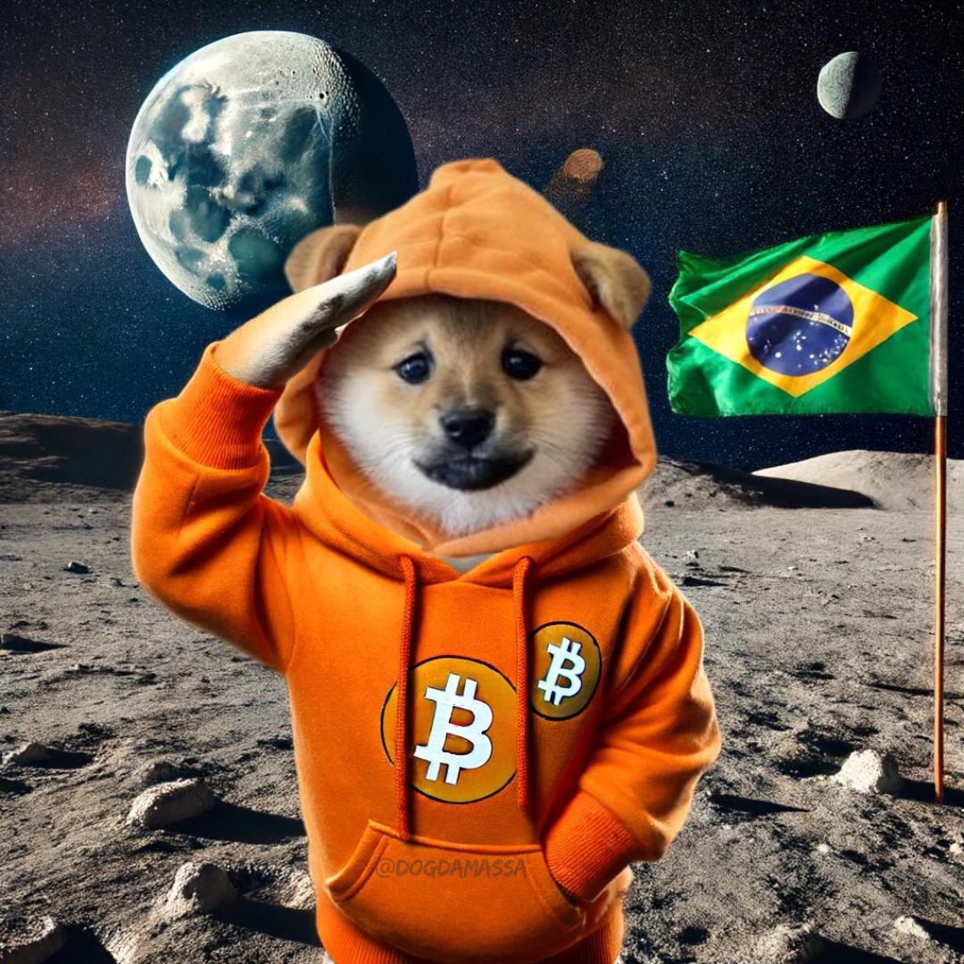 Tem algum $DOG brasileiro que já voltou para o X?