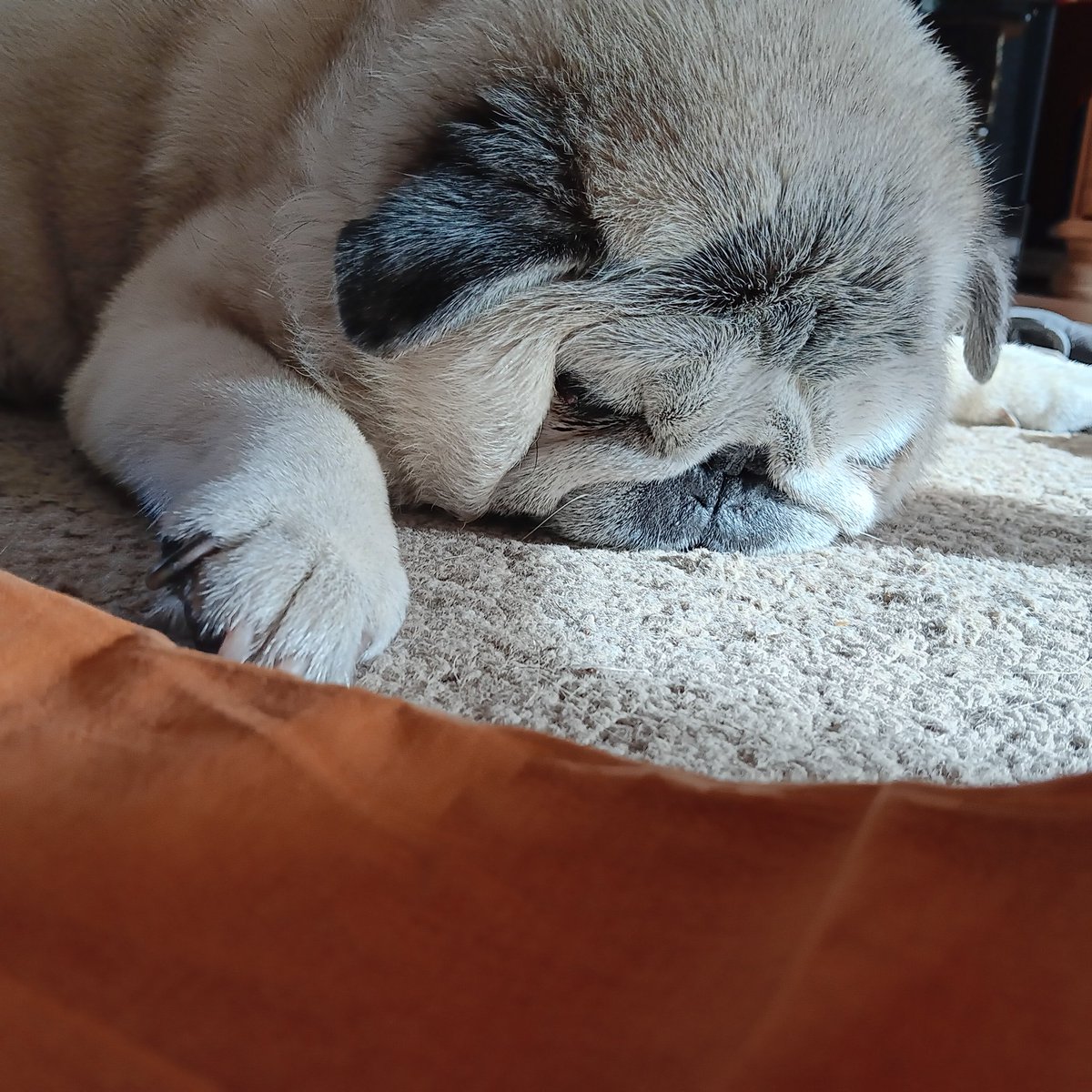 Ich bin so müde....😌