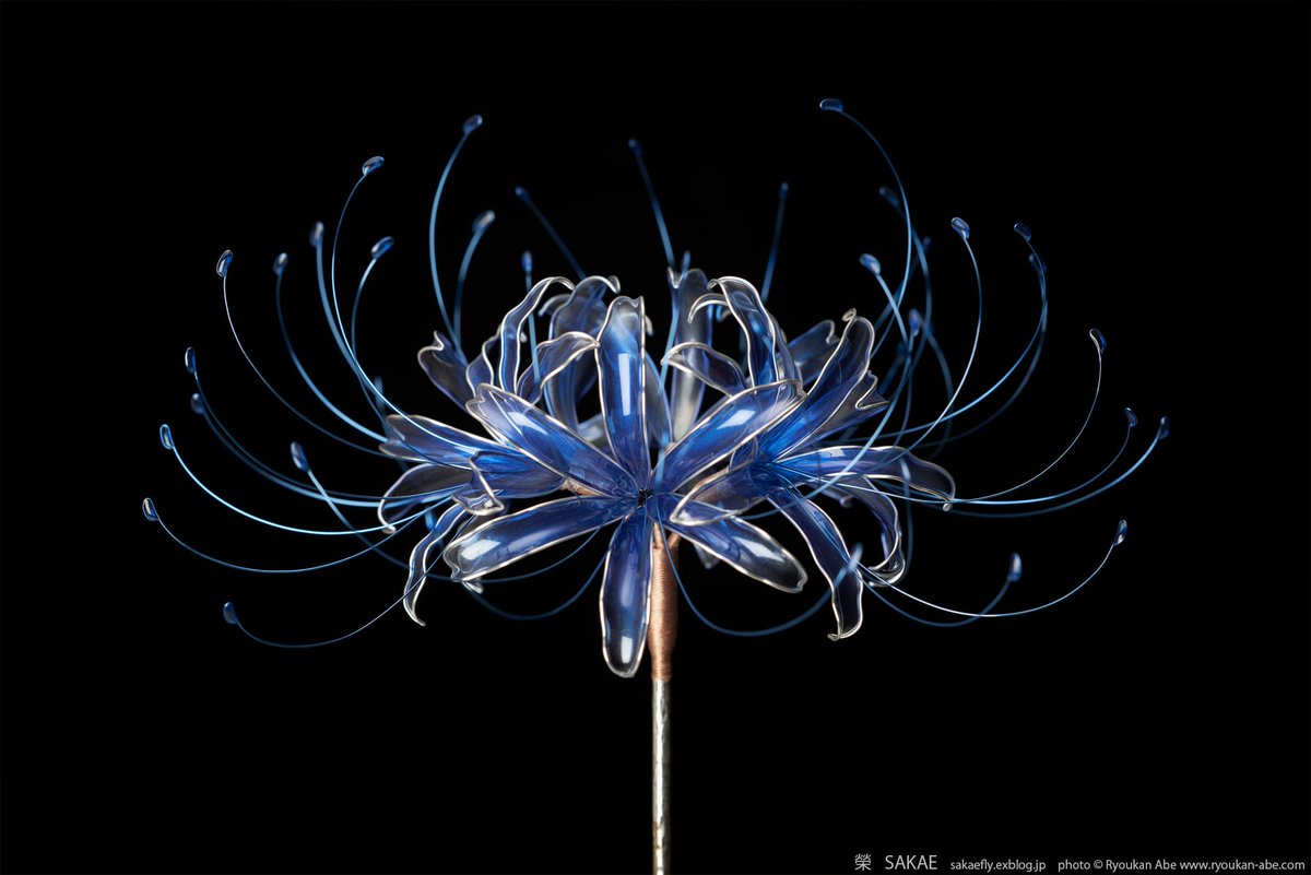 bittau's tweet photo. Spider Lilies and Cherry Blossoms by Sakae Unfurl in Wire and Resin Hair Pieces https://t.co/havgTFn623