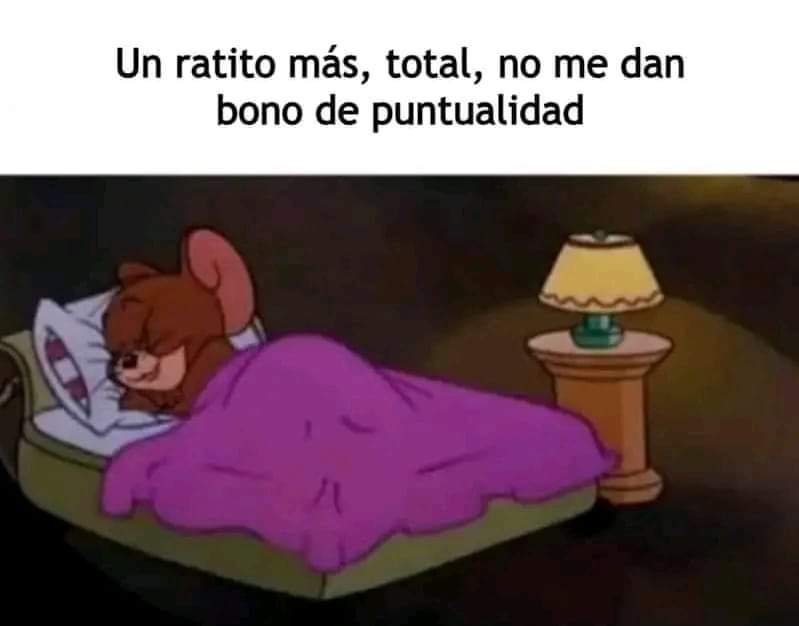 🤣🤣🤣