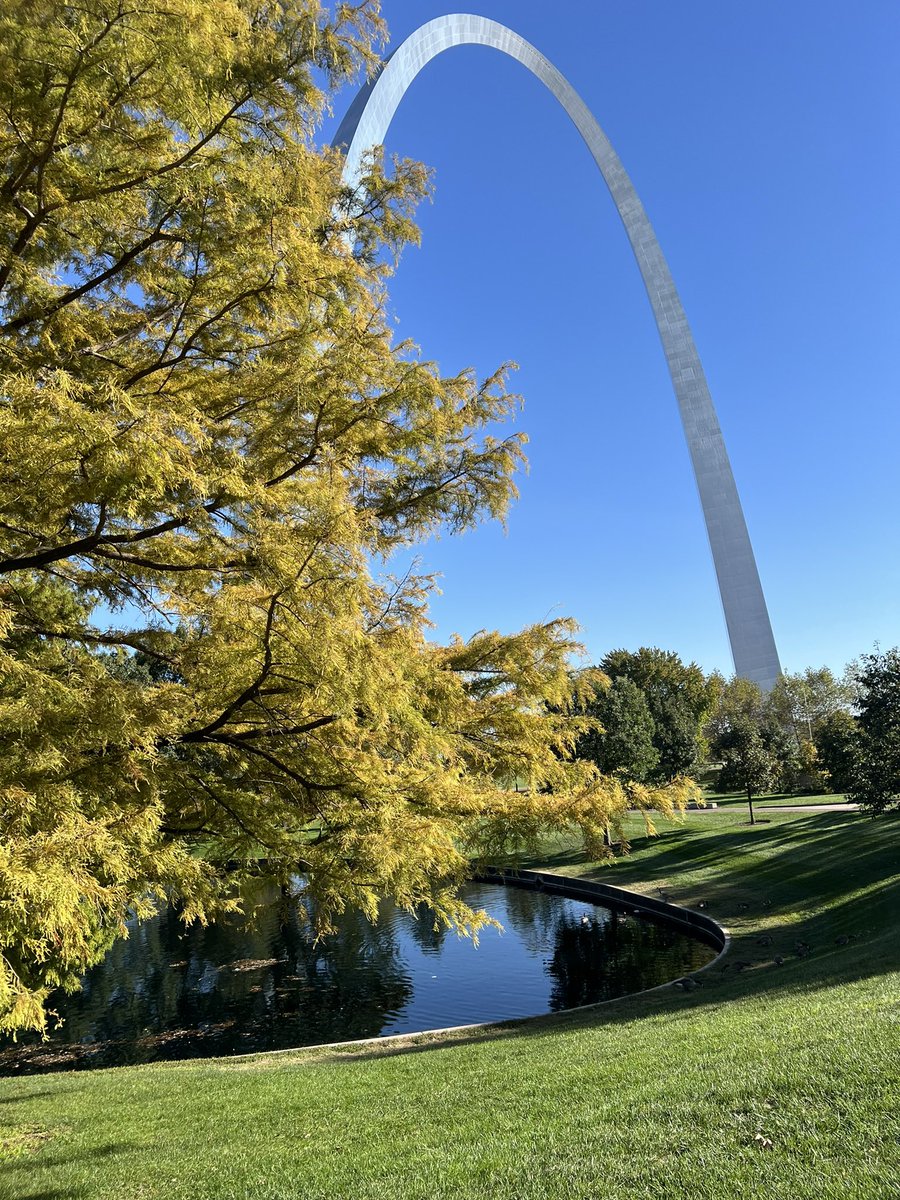 Dr. Fadji Maina tweet media