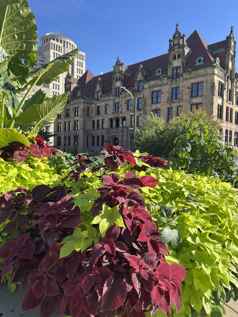 Dr. Fadji Maina tweet media