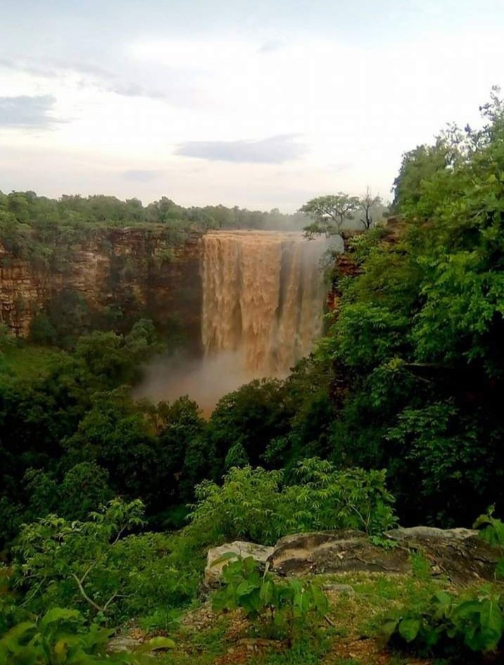 arvindchotia's tweet image. माननीय राजकुमार रोत जी,
हम आपका ध्यान बारां जिले के शाहाबाद में एक निजी कंपनी ग्रीनको एनर्जी के लगने जा रहे पावर प्लांट की और दिलाना चाहते हैं जिसके लिए घने जंगल के एक लाख से ज्यादा पेड़ काटे जाने प्रस्तावित हैं। वैसे भी वृक्षों का महत्व आपसे ज्यादा कोई नहीं जानता होगा। आपका तो