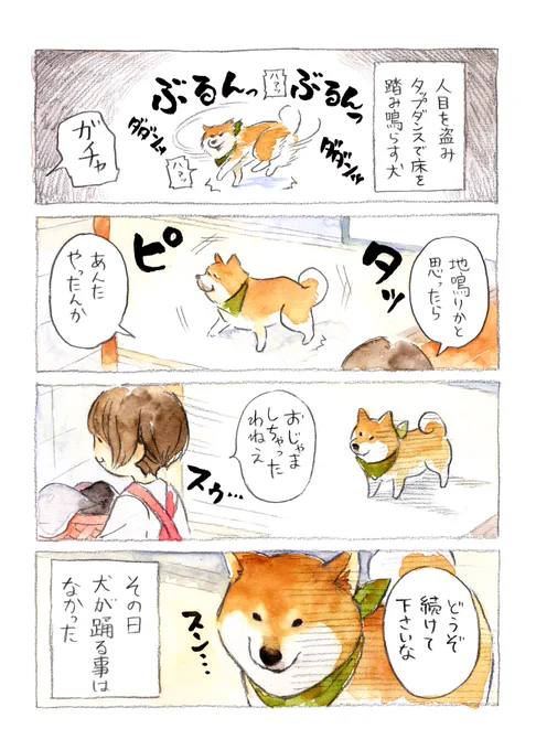 人の気配で我に返る犬 