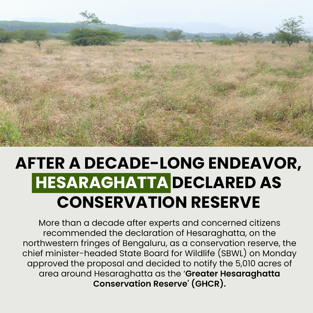 atree_org's tweet photo. Great news for Bengaluru's grasslands! After a decade-long effort by environmentalists Mahesh Bhat, Seshadri KS and Ramki Sreenivasan, the Hesaraghatta grasslands, spanning over 5,000 acres, have finally been declared a conservation reserve. This will help protect this vital ecosystem for future generations.  Check out the article using the link in bio. 
https://t.co/gzIBUpvN2D
 
#Bengaluru #Hesaraghatta #ConservationReserve #environment