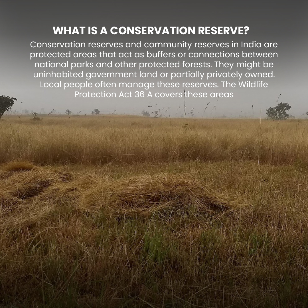 atree_org's tweet photo. Great news for Bengaluru's grasslands! After a decade-long effort by environmentalists Mahesh Bhat, Seshadri KS and Ramki Sreenivasan, the Hesaraghatta grasslands, spanning over 5,000 acres, have finally been declared a conservation reserve. This will help protect this vital ecosystem for future generations.  Check out the article using the link in bio. 
https://t.co/gzIBUpvN2D
 
#Bengaluru #Hesaraghatta #ConservationReserve #environment