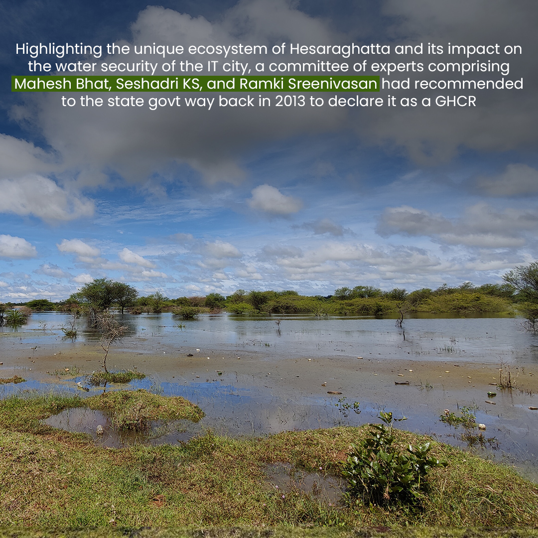 atree_org's tweet photo. Great news for Bengaluru's grasslands! After a decade-long effort by environmentalists Mahesh Bhat, Seshadri KS and Ramki Sreenivasan, the Hesaraghatta grasslands, spanning over 5,000 acres, have finally been declared a conservation reserve. This will help protect this vital ecosystem for future generations.  Check out the article using the link in bio. 
https://t.co/gzIBUpvN2D
 
#Bengaluru #Hesaraghatta #ConservationReserve #environment