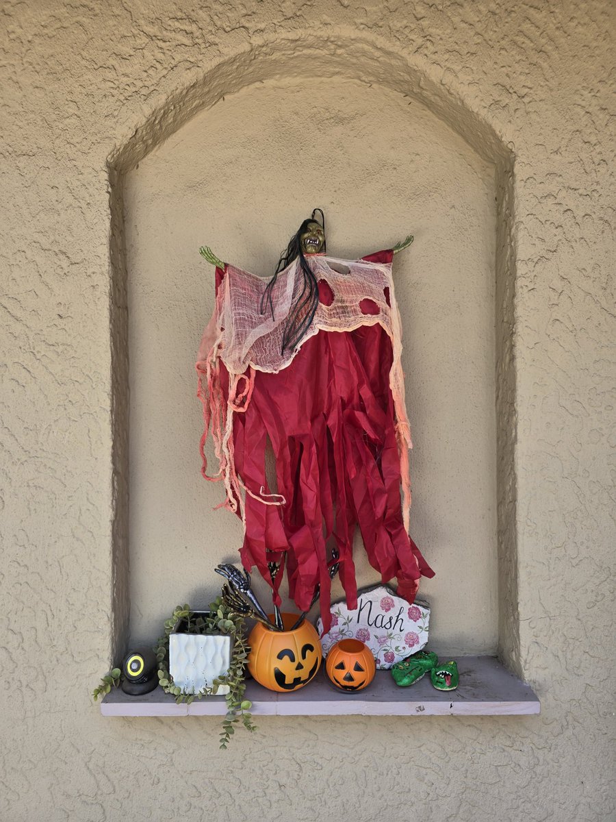 dalene9078's tweet photo. South Africans aren't big on Halloween. But I am!!! https://t.co/J92SlYYPGb