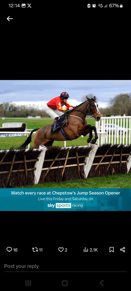 TheJennieStokes's tweet photo. @AtTheRaces @Chepstow_Racing https://t.co/C9Y8zh5EuO