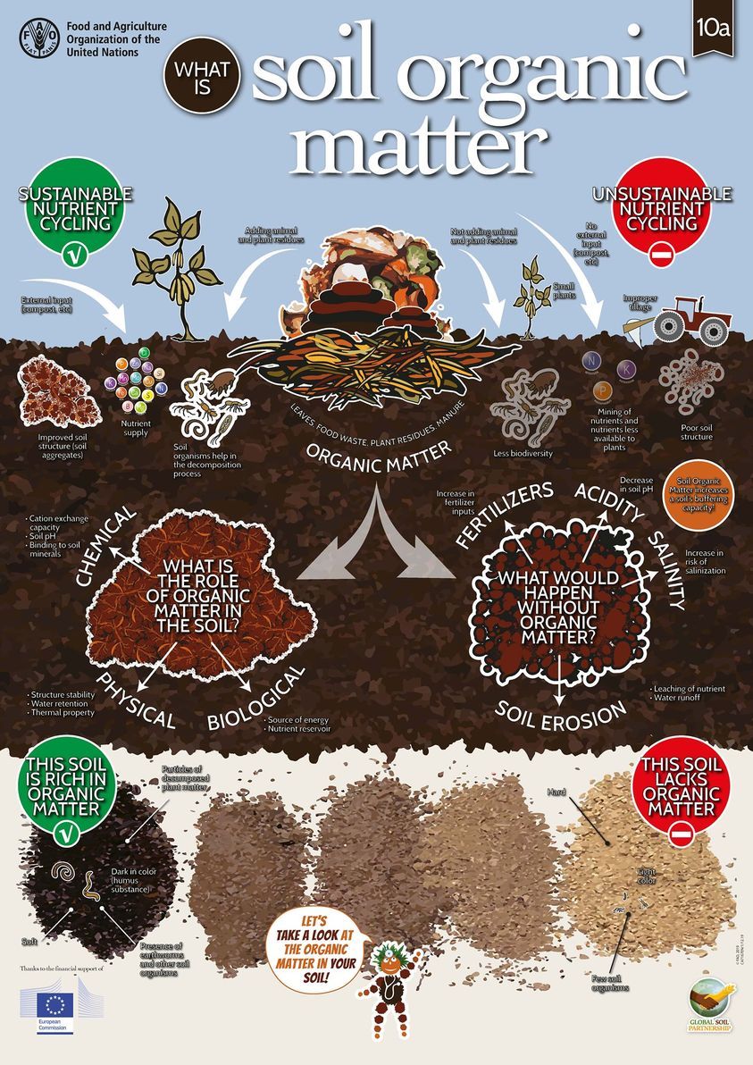 MarginUp! (@marginup_eu) on Twitter photo 🌱✨ Would you like to learn what soil organic matter is, and how you can determine if your soil contains sufficient levels? Check out the infographic by <a href="/FAO/">Food and Agriculture Organization</a> 👇
linkedin.com/posts/unbiodiv… 🌱✨ Would you like to learn what soil organic matter is, and how you can determine if your soil contains sufficient levels? Check out the infographic by <a href="/FAO/">Food and Agriculture Organization</a> 👇
linkedin.com/posts/unbiodiv…