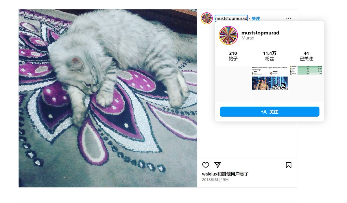 everything 发了70持仓到murad的地址里，他的周边可以考虑一下，这是他的猫，打满了后面归零了，现在5000市值

ca：BsMUka4SNvNeUrcaLTr36N799E3Yzxc7A8mckCD9pump