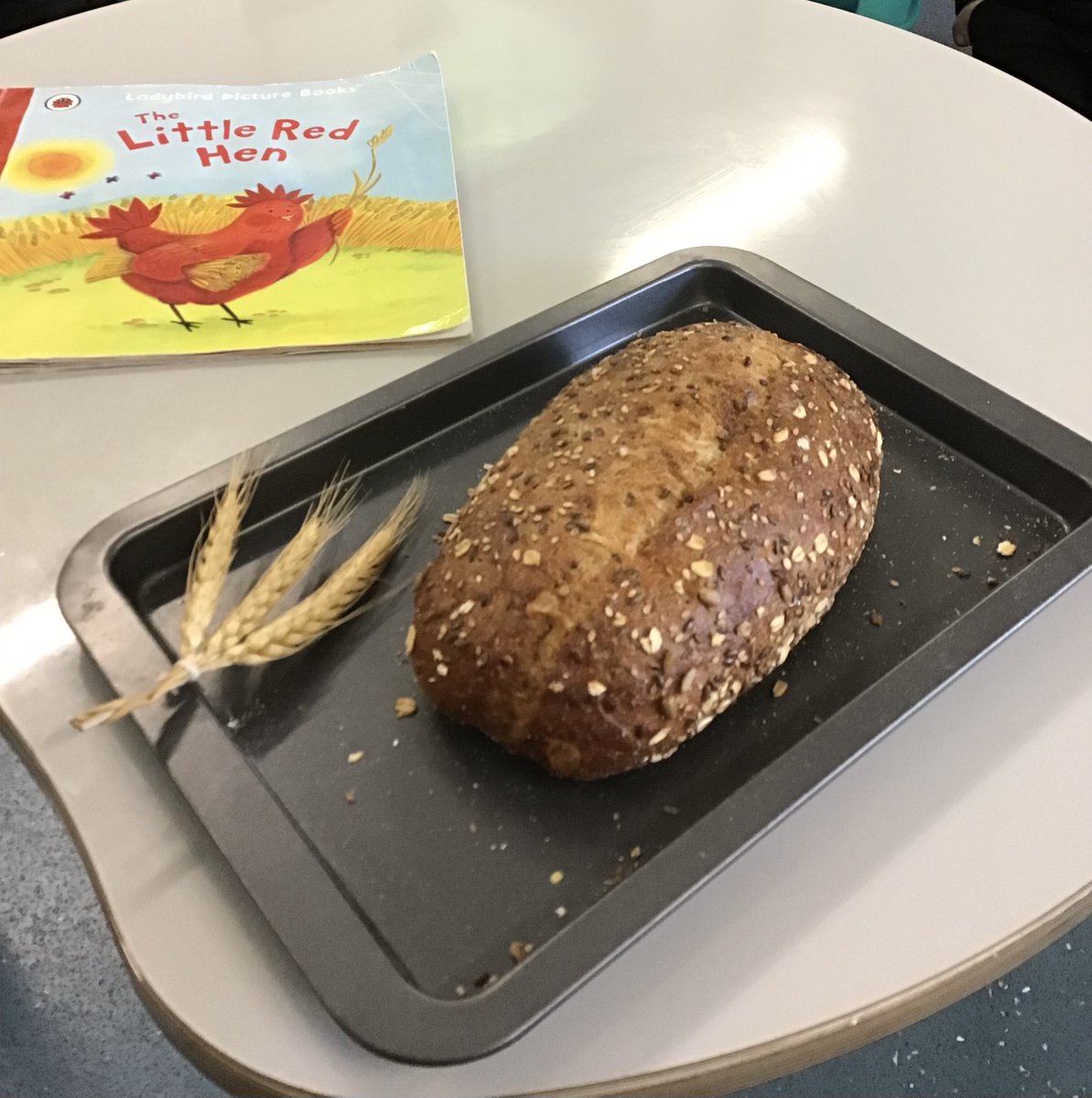 GagleBrookPS's tweet photo. This week in Reception we focused on Little Red Hen, drawing story maps and retelling the tale. We explored bread making with a shop bought loaf &amp; learned the process, just like Little Red Hen! Then we baked our own delicious bread rolls. I wonder what Panda Class will bake next! https://t.co/gzKmOgrE3y