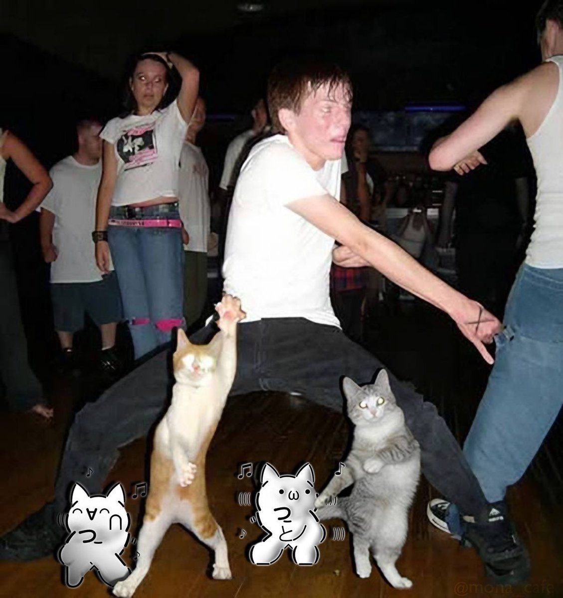 Mona cafe（　´∀｀） tweet media