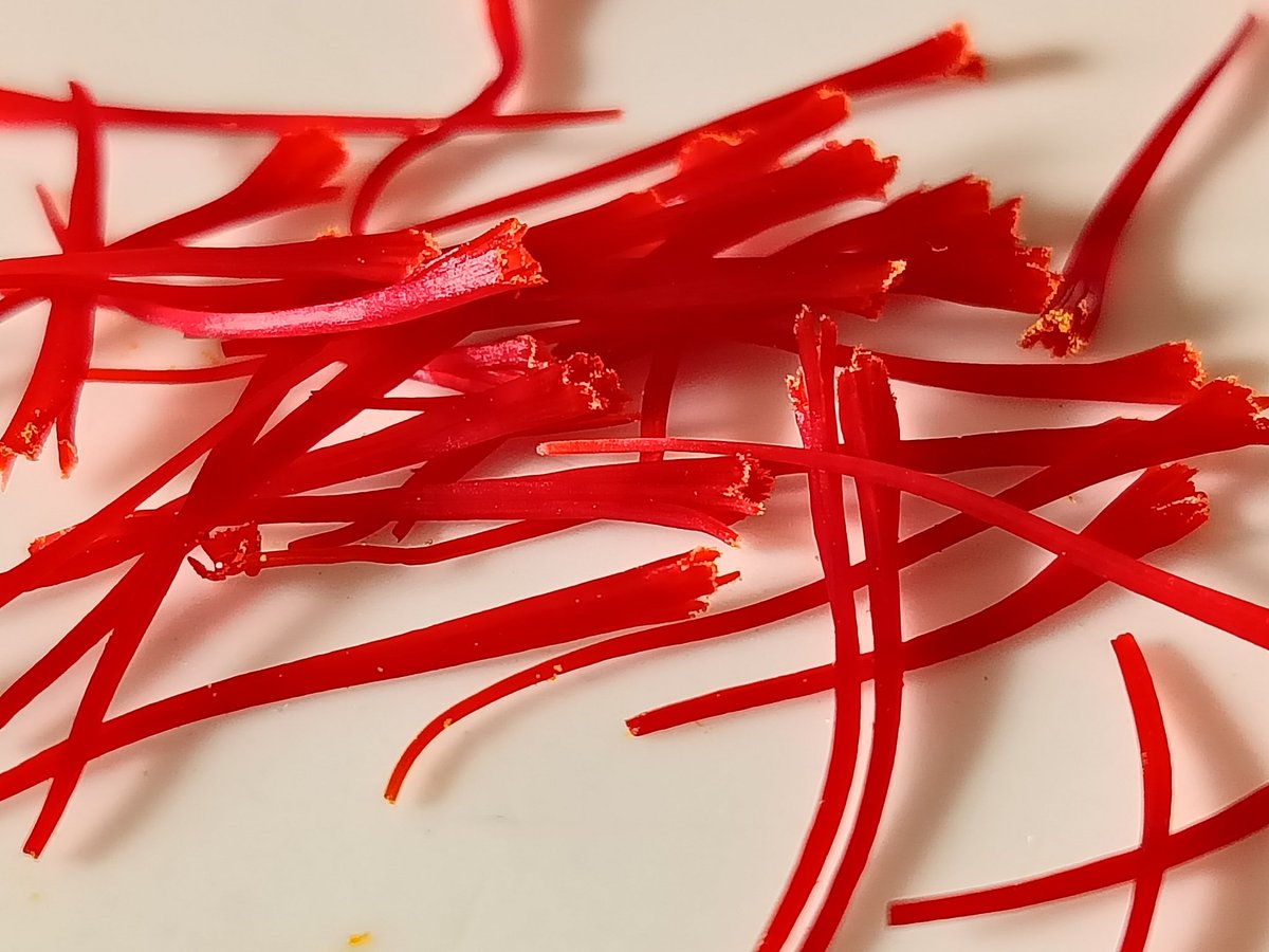 The very first of the 2024 harvest, from today's 13 flowers.