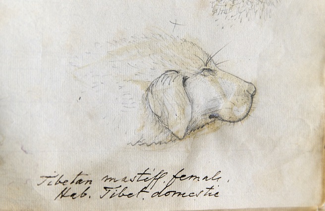 ZSL Library tweet media