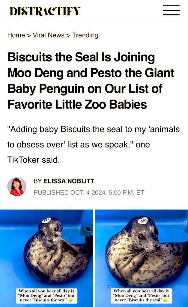 BISCUITSCTO tweet media