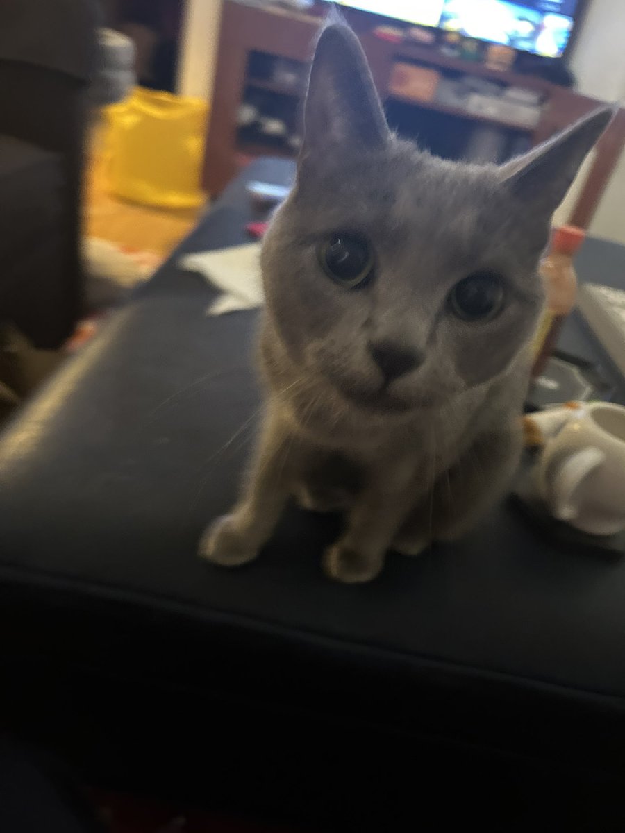 grain. death? tweet media