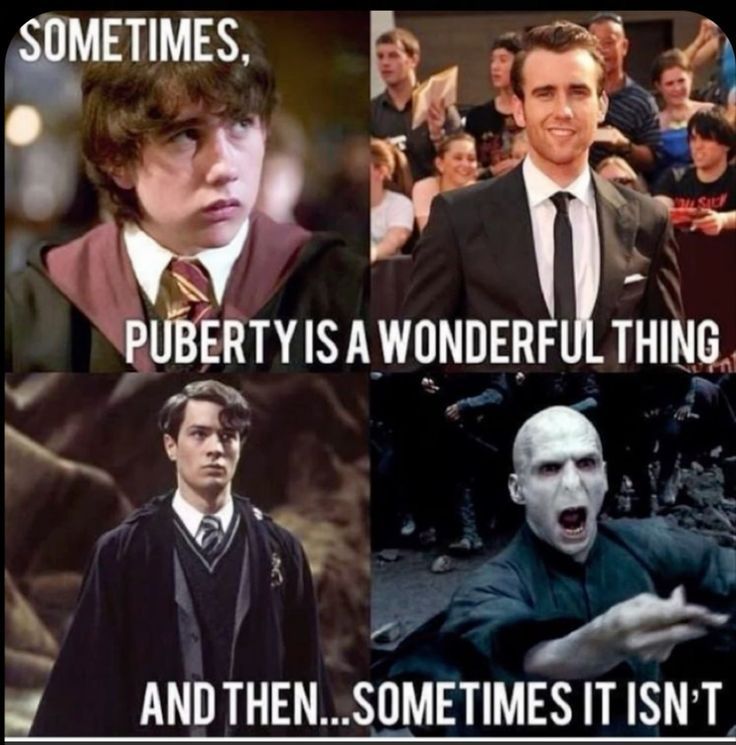 MuggleNet's tweet image. Sometimes, it&apos;s complicated... 😅 

#NevilleLongbottom #TomRiddle #Puberty