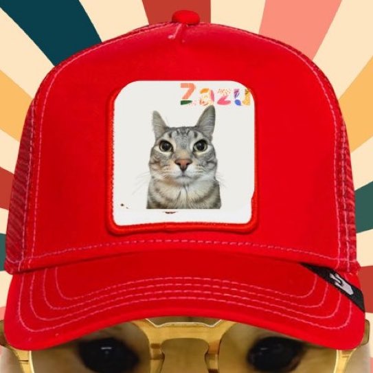 Brandon Salim tweet media