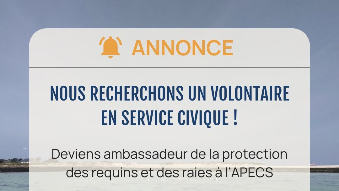 Offre de volontaire en service civique à l'APECS
Sensibiliser à l'importance de protéger les requins et les raies, et aider à mobiliser les citoyens pour qu'ils signalent leurs observations (en  plongée, en mer, captures, échouages)
wp.asso-apecs.org/wp-content/upl…
