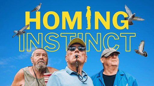 🕊 Homing Instinct
📅 18.10.24 
⏰ 19:30
📺 BBC1Wales
📱 bbc.co.uk/iplayer/episod…