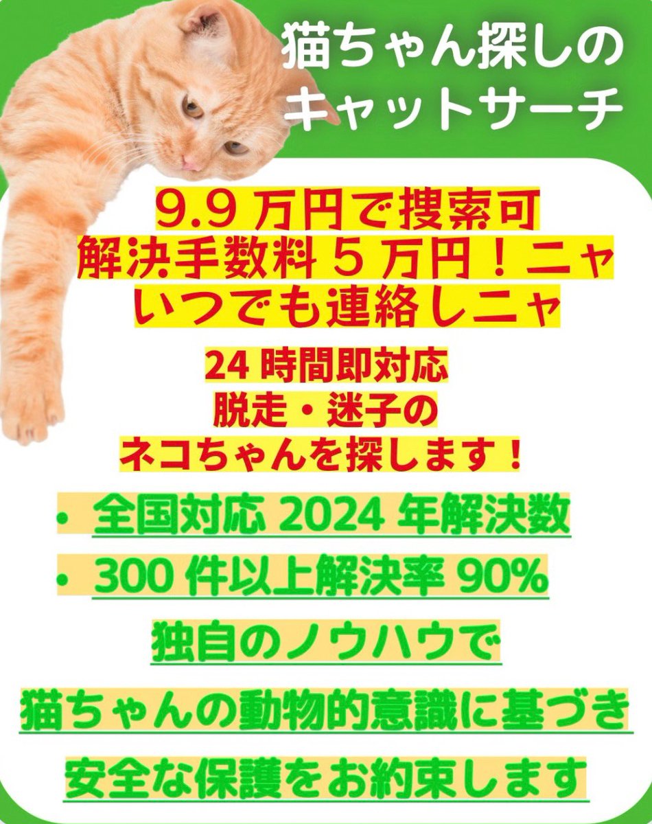 ShinjukuSokai's tweet photo. 🐱フォローRTでアマギフ5000円を10名にプレゼント💰
※必ず最後まで読んでニャ

先日はキャットサーチさん(@catserch)のレスキュー隊を募集だったんだけど、今回は飼い猫が脱走しちゃった時に相談する選択肢に入れてほしいというPR案件🐈

➡️https://t.co/zzLsW5rpnt
即日訪問&全国出張でネコちゃん発見確率に自信あり。

俺は経験ないけど、もしも飼い猫がいなくなったら相当メンタルに厳しいだろうな。

【迷子動物探偵帯太郎】という捜索願の拡散BOT的なアカウントの運用も俺たちはやっているんだけど、やっぱり猫好き仲間たちは拡散の協力はしてくれても、足で時間を使って探してくれる人なんかほどんどいない。

キャットサーチさんは人の手で探す訳だから費用はかかるが、多少でも安くなるようにキャンペーンを開催🐈

依頼時に「Xの投稿を見た」と言ってくれれば、先着100名までは1万円の値引きが受けられるようにしておいたぜ。

ただしだ。
キャットサーチさんから一つ注意事項がある。
ここの代表の方は凄腕のネコ探偵で、俺たちも色々教えてもらっていたんだけど、脱走しちゃった時はとにかくスピードが命なんだって。まあ当たり前か。

代表🐱「猫の特性上、時間が経つにつれて保護はこんにゃん、いや困難になってしまいます。なので居なくなっちゃったら兎に角すぐに相談して欲しいですニャア」とのこと。

「早期に連絡すること」と「1万円の割引」
この2つを忘れずに利用を頼むぜ。
https://t.co/zzLsW5rpnt

-----------
ここまで読んでくれた人たち、ありがとう。
最後にアマギフプレゼントの話だ🎁

キャットサーチさんは最近Xを始めたわけだが、このサービスなのでもっとみんなにも知ってほしいとの事。
------------------------💵
✅@catserch をフォロー
✅この投稿をRT
💴------------------------
この2点をやってくれた人から抽選でアマギフ5,000円を10名にプレゼントさせてもらう。

猫の特性とか猫探しの様子とかもポストしていくようだから、猫好きなら見てて面白いと思うぜ。
