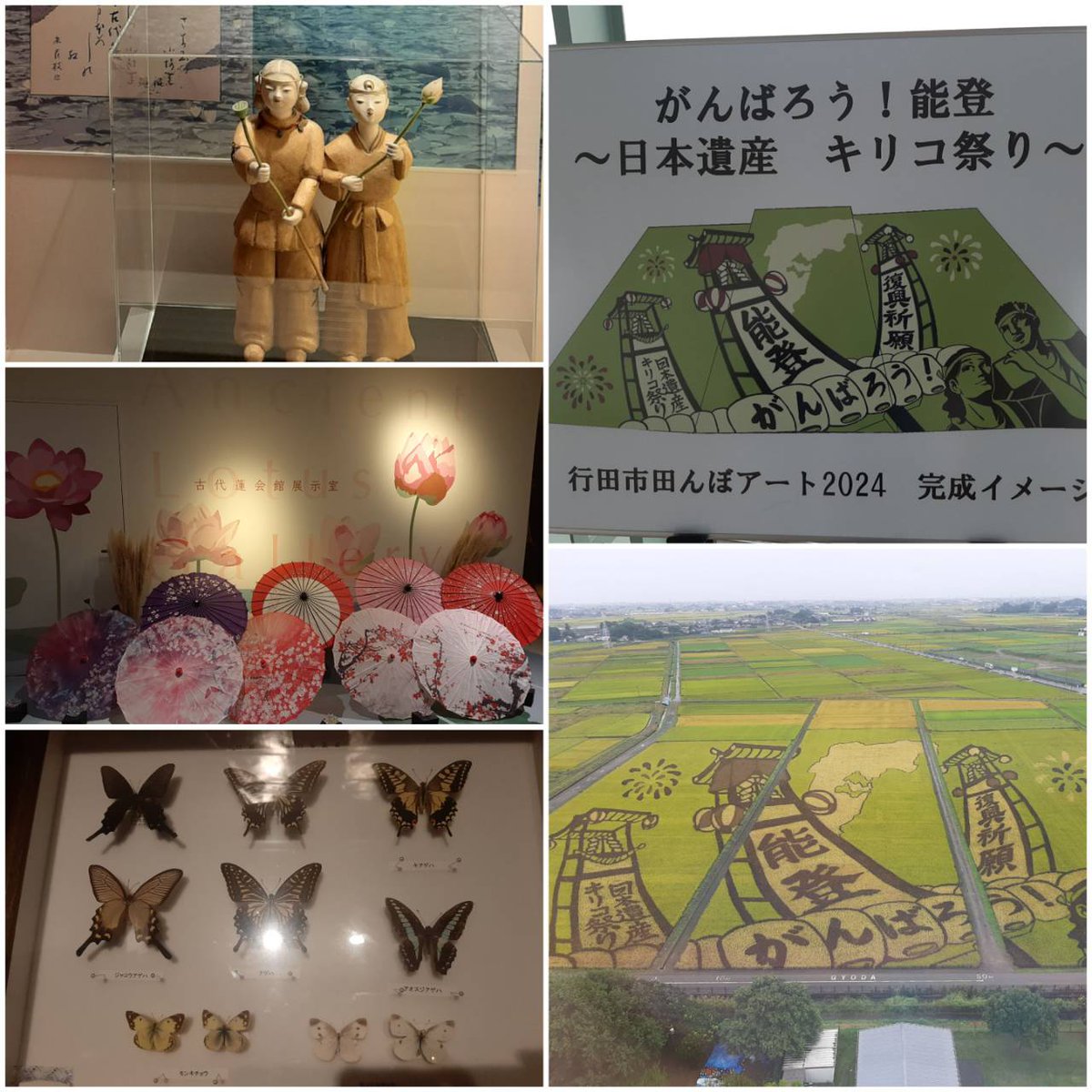 sakurawarai's tweet image. #行田古代蓮の里 で蓮のお勉強
展示の仕方に工夫があって、楽しかった。タワーからの田んぼアート
#circolo チルコロさんで溶岩ミートパスタ
きのこが入った自家製ミートソースにたっぷりチーズ
バケットもあるしミートソースは残りません。
