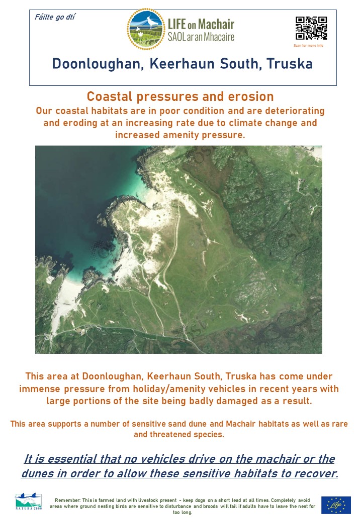 LIFEonMachair's tweet image. LIFE on Machair is working on 9 pilots sites up and down the west coast of Ireland.
All are in need of urgent care and attention. Machair is very fragile.
advertiser.ie/galway/article…