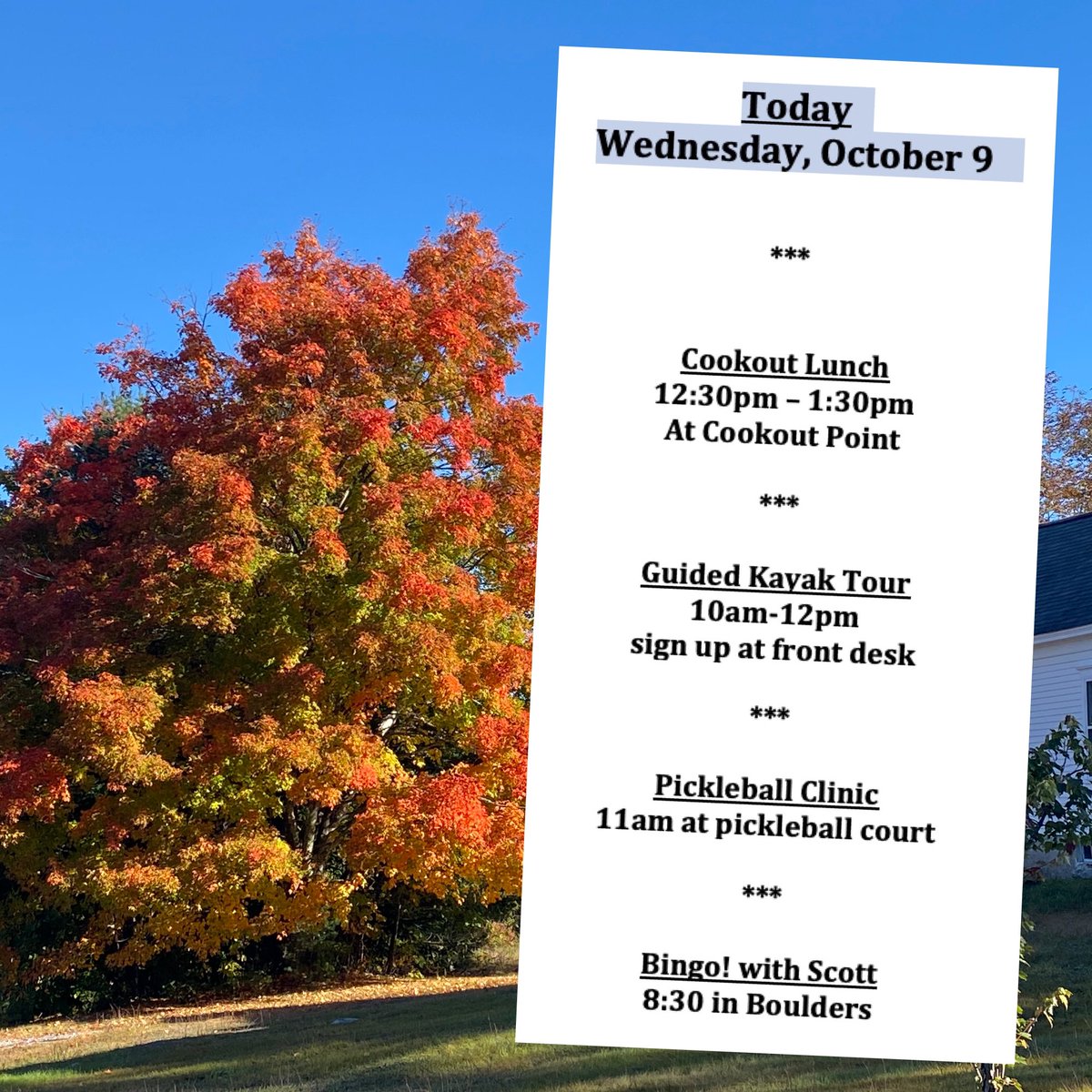 Enjoy this beautiful fall day! This tree was yesterday; today's visit soon. #Migis #SebagoLake #mainefamilyvacation #mainetheway
#allinclusiveresort
#mainething #bingo #bringyourappetite #fullAmericanplan
#onemorninginmaine
#kayakmaine #pickleballmaine