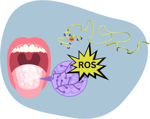 InorgChem's tweet photo. Szarszoń et al. show that Cu(II) and Zn(II) ions boost the antifungal power of the C-terminal peptide from CCL-28, enhancing its antimicrobial potency through ROS production at slightly acidic pH. Introducing our #TOCoftheWeek: https://t.co/0tFFlkw1eT https://t.co/GPasekmnNf