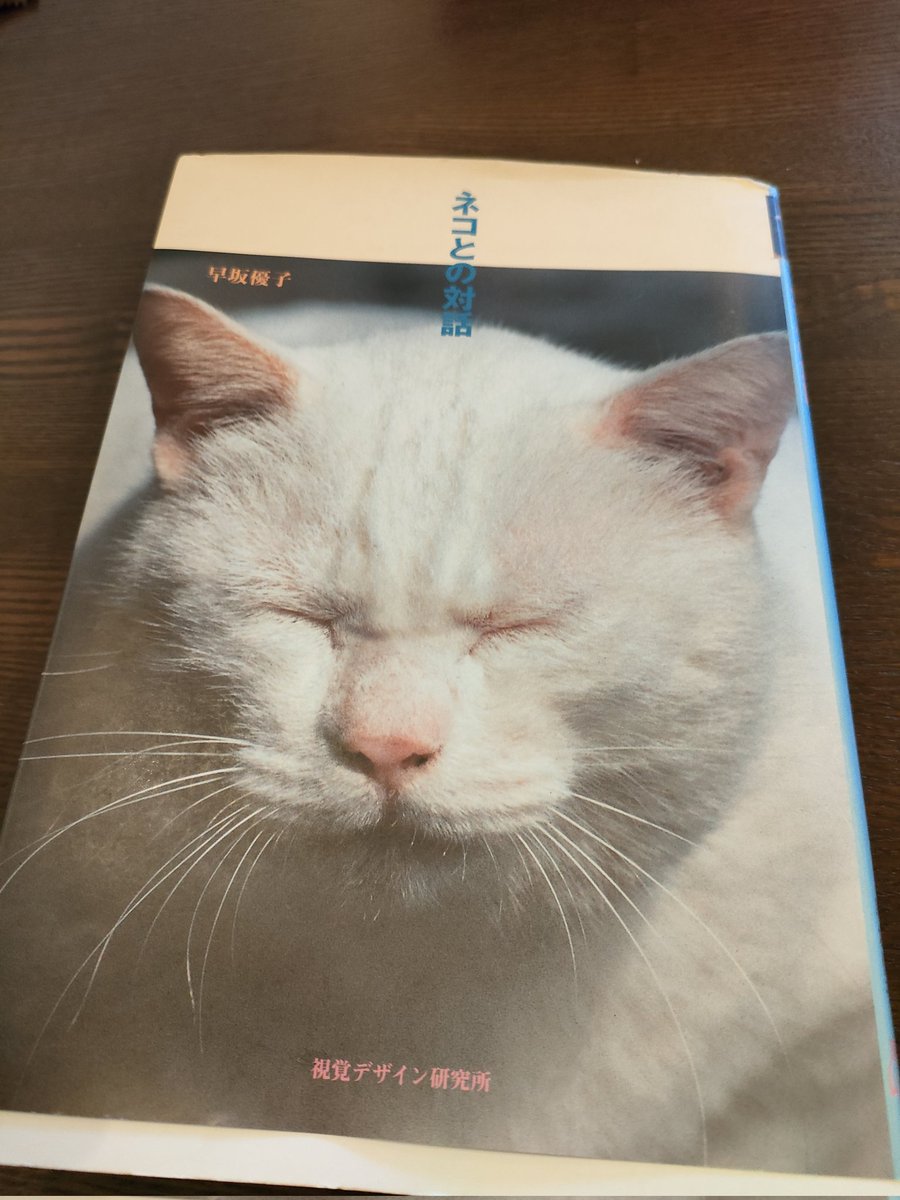 JaulTk8zKajIe4Z's tweet photo. #cafetoki(名古屋市緑区)
店内が猫まるけのカフェトキさん。
😸…の本やら、グッズ、食器に至るまで、猫づくし…
自慢のパンケーキを注文。出来上がりまで20〜30分かかりますが、ふわふわで美味しい😸✨待ち時間は店内の😸グッズ探し…😸好きにはたまらん…🤗🍀 https://t.co/DabMn1AZpF
