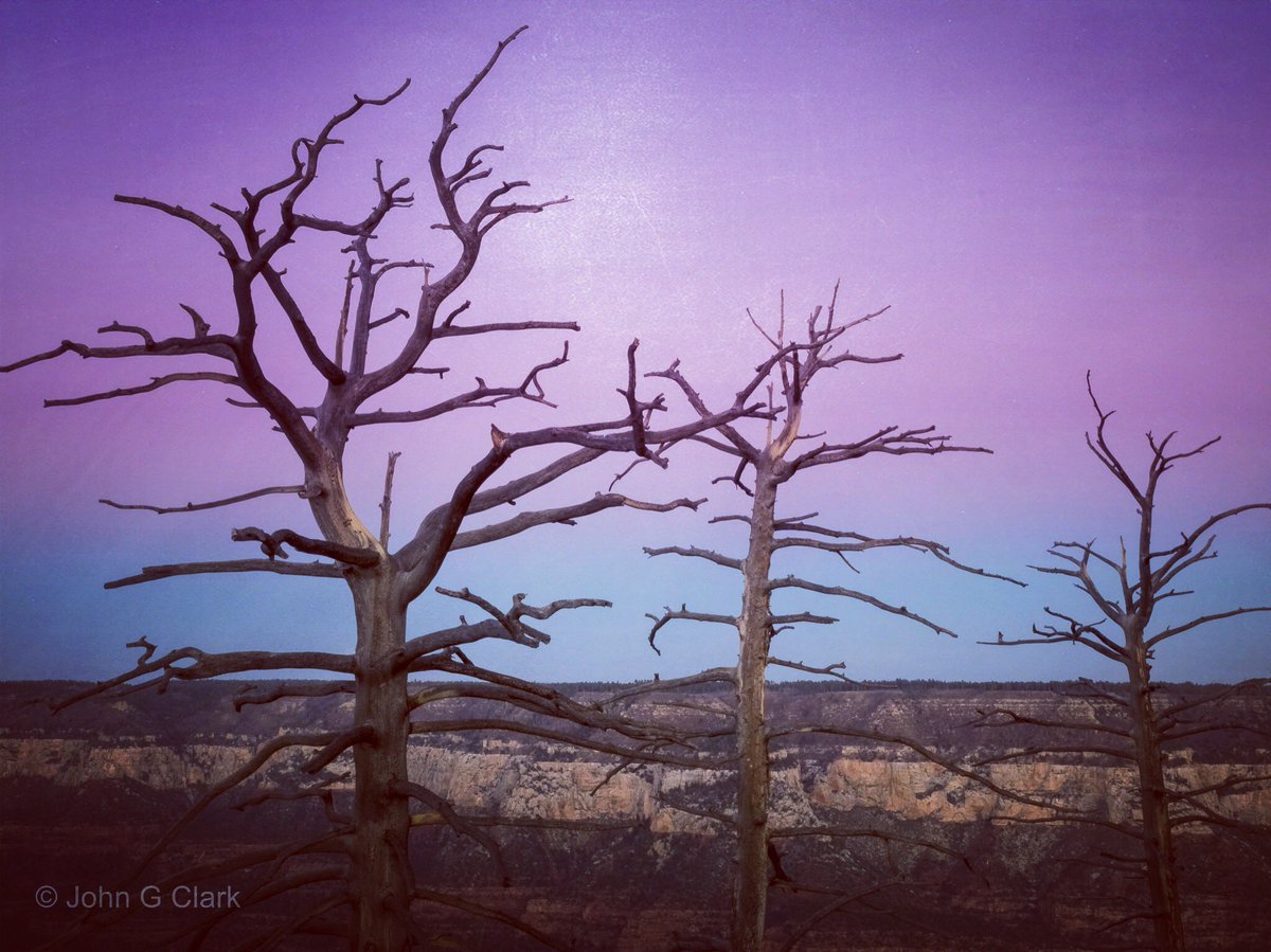 John Clark | Photographer (@getrealjc) on Twitter photo I have no witty caption in me today. Whatcha got for this pic? 
#ThePhotoHour #on1pics <a href="/ON1photo/">ON1</a> I have no witty caption in me today. Whatcha got for this pic? 
#ThePhotoHour #on1pics <a href="/ON1photo/">ON1</a>