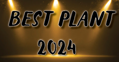 AND THE WINNER IS…
We’ve been looking at great plants all through September, and finally our judges have taken the reins. They found the decision of which plant to name Best Plant 2024 more difficult than they at first imagined.

Who did they choose?
fabricarecanada.com/best-plant-202…