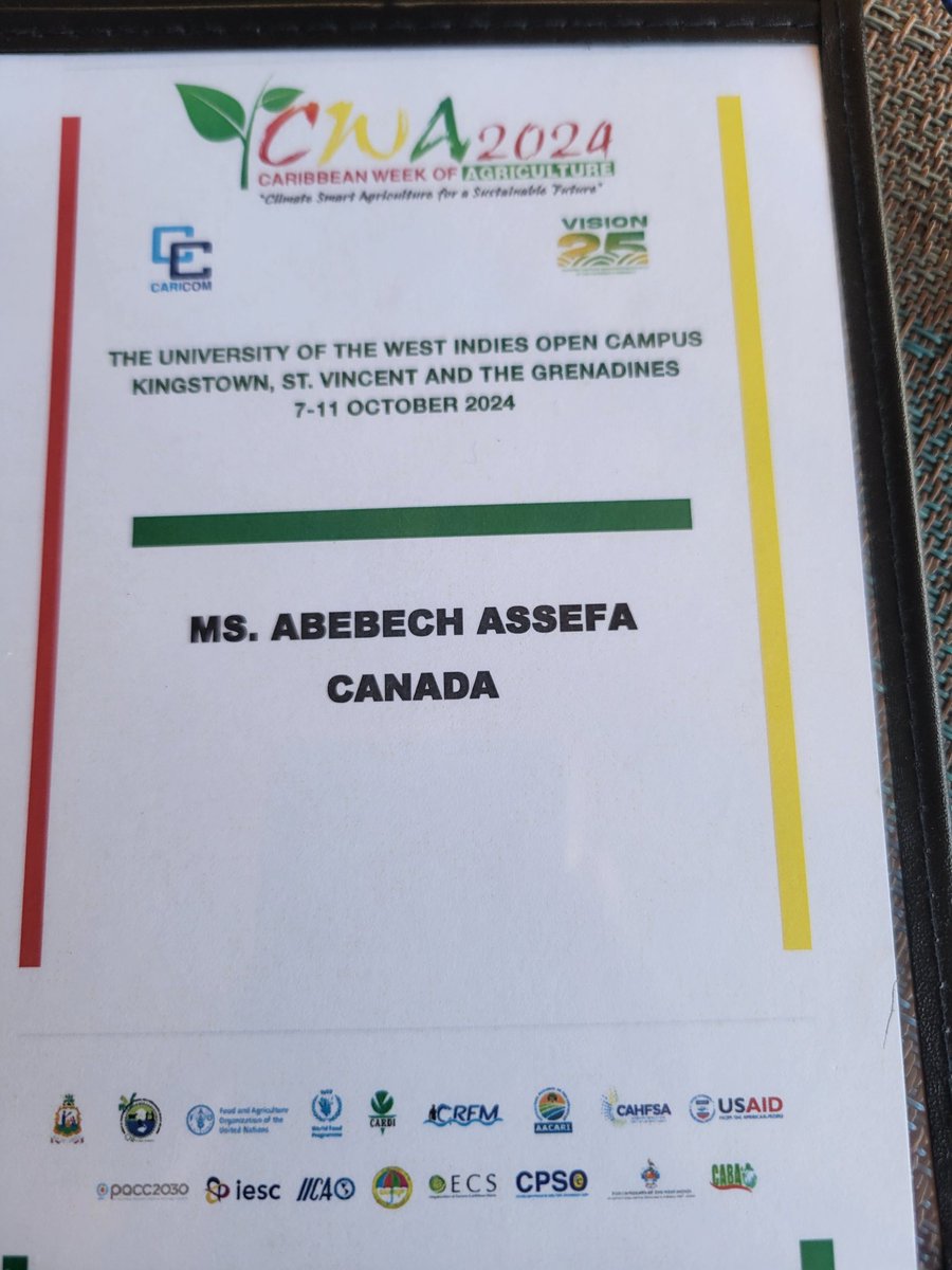 Abebech Assefa tweet media
