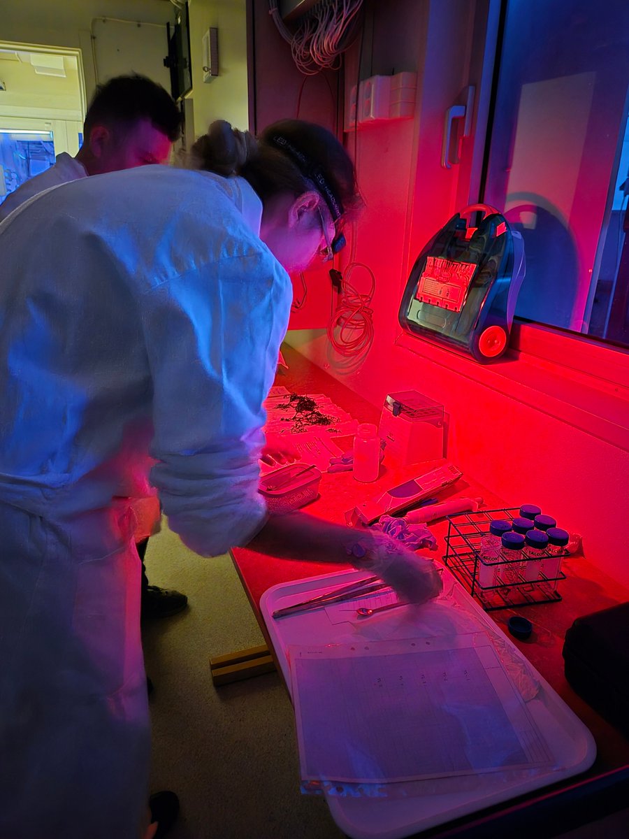 🌊 MSc student Sarah Braun is diving deep into #Research on the photophysiological impacts of marine #HeatWaves on key brackish water vegetation and #Macroalgae. Her work includes responses to rising anthropogenic pressures and climate change.🌱🔬

#Sustainability #MarineScience