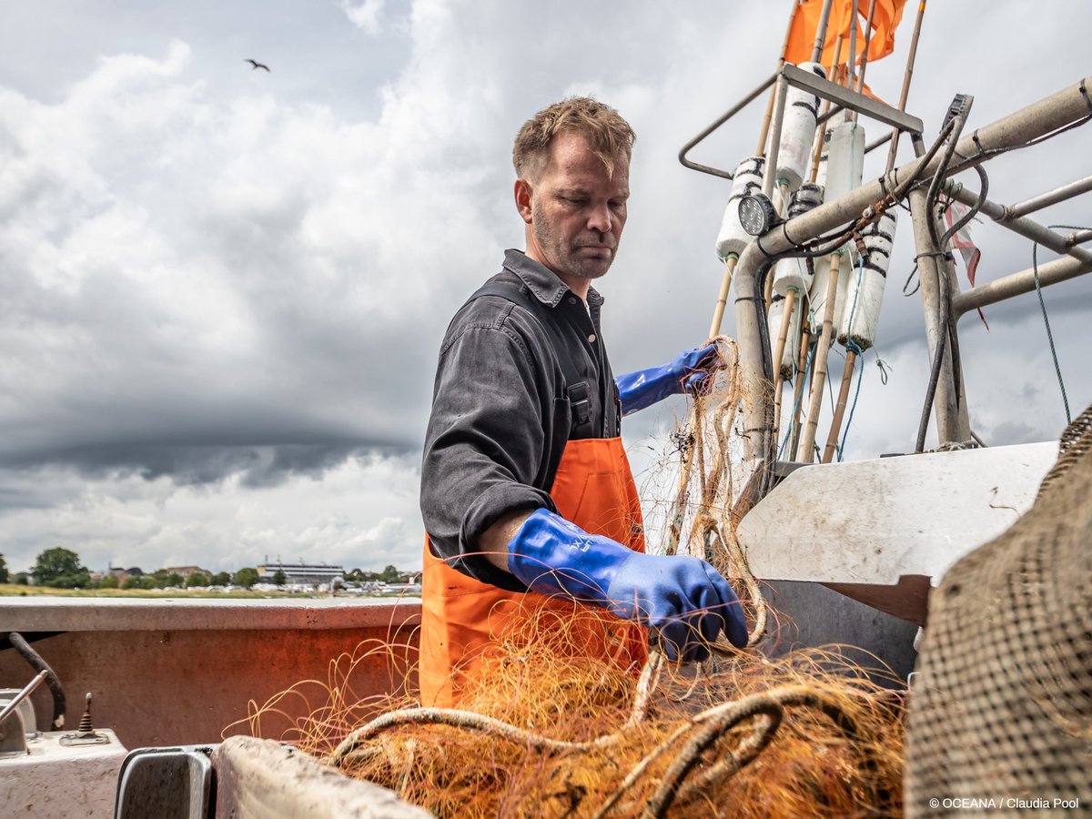 OceanaEurope's tweet photo. 📸Our photo exhibition, showcasing low-impact fishers across 🇩🇰🇮🇪🇪🇸 calling to #MakeFishingFair, took place during #EUOceanWeek in front of the @Europarl_EN.
Read their stories and check out the beautiful pictures from the exhibition➡️ https://t.co/i1zkyFMIET https://t.co/A3SV6jvrMo
