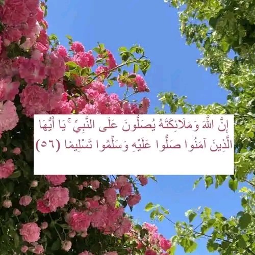 Alaafathi250486's tweet photo. https://t.co/tYi3faLcvp