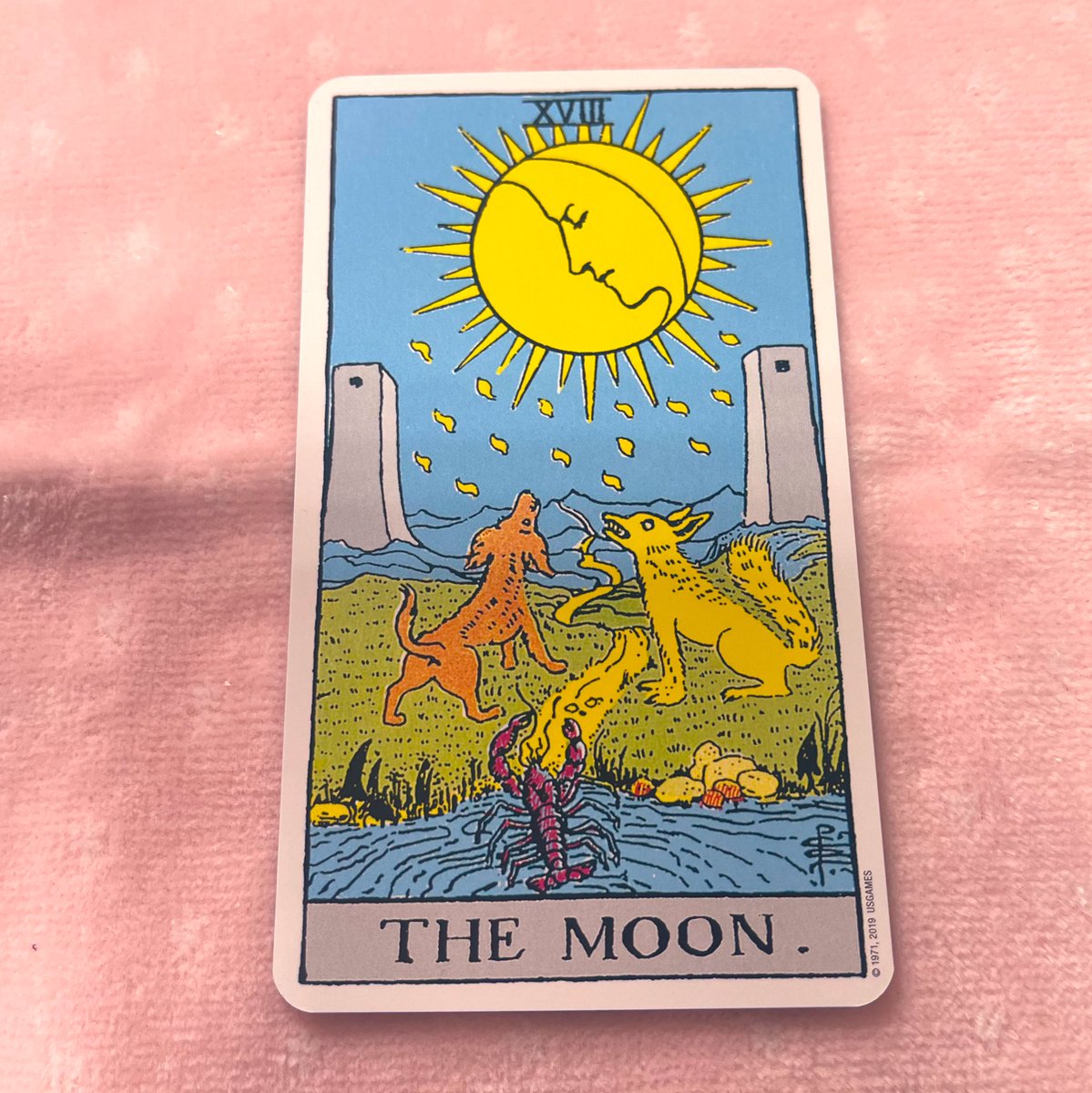 nico☺︎☺︎ 51H1N-1QwVL._UF350,350_QL50_.jpg