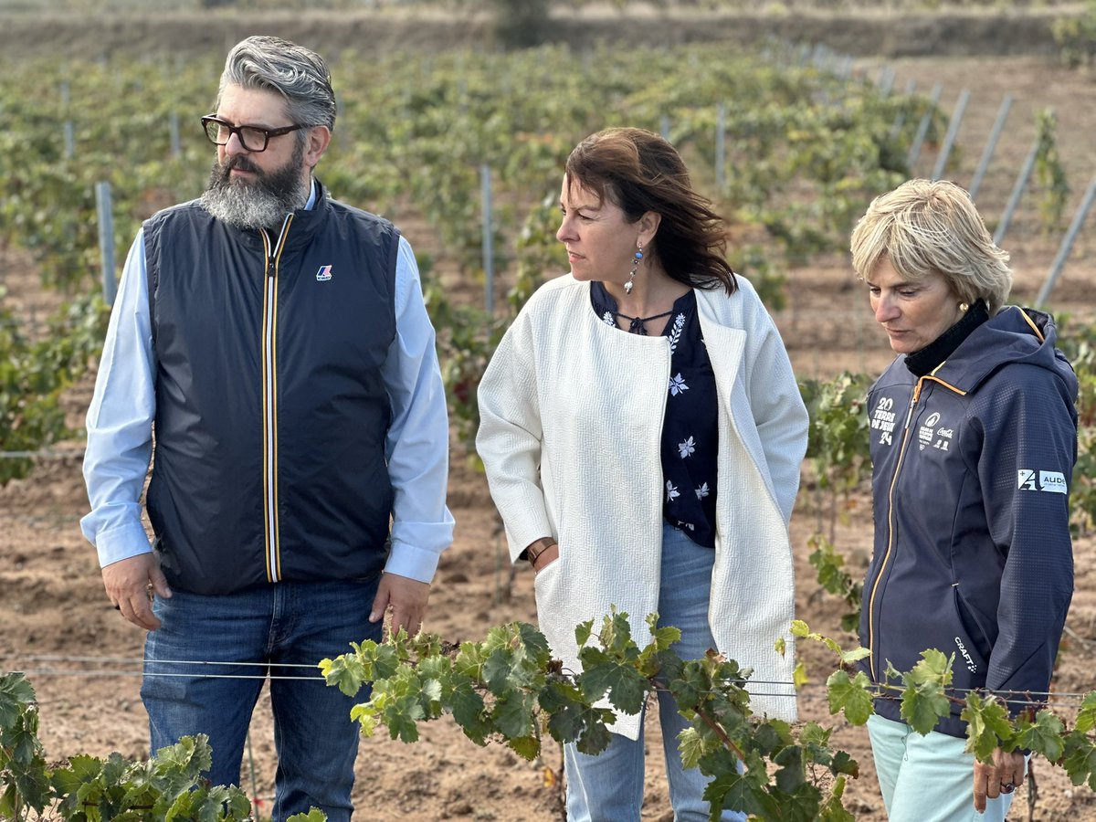 VigneIndépOccitanie tweet media