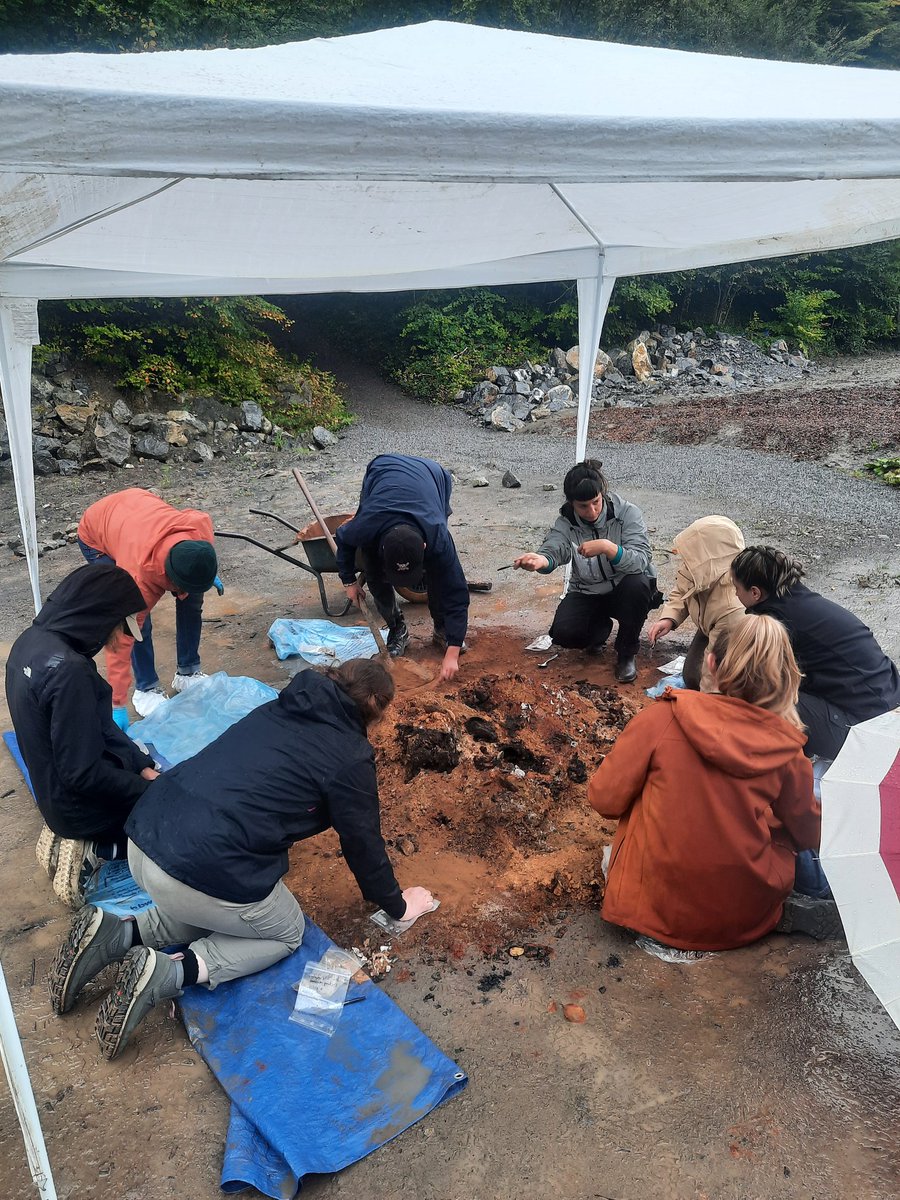 BB-LAB (@brusselsbioarch) on Twitter photo Day 3 excavations and in true Belgian style, it's raining! We are recovering the pig and lamb bones to take back to Brussels for analysis! Thanks for hosting us <a href="/prehisto_museum/">Préhistomuseum</a> 👍🏻🔥 Day 3 excavations and in true Belgian style, it's raining! We are recovering the pig and lamb bones to take back to Brussels for analysis! Thanks for hosting us <a href="/prehisto_museum/">Préhistomuseum</a> 👍🏻🔥