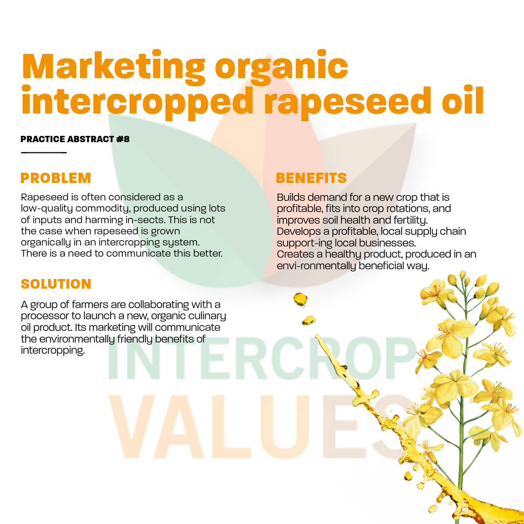 IntercropVALUES ๐ช๐บ (@intercropvalues) on Twitter photo Project partner <a href="/OrganicsEurope/">IFOAM Organics Europe</a> and associate partners <a href="/SRUC/">SRUC</a> and <a href="/saos_agri_coops/">SAOS - #workingtogether, what can we do for you?</a> explain how to market #organic #intercropped rapeseed oil.
๐ Read the full abstract here: intercropvalues.eu/wp-content/uplโฆ Project partner <a href="/OrganicsEurope/">IFOAM Organics Europe</a> and associate partners <a href="/SRUC/">SRUC</a> and <a href="/saos_agri_coops/">SAOS - #workingtogether, what can we do for you?</a> explain how to market #organic #intercropped rapeseed oil.
๐ Read the full abstract here: intercropvalues.eu/wp-content/uplโฆ