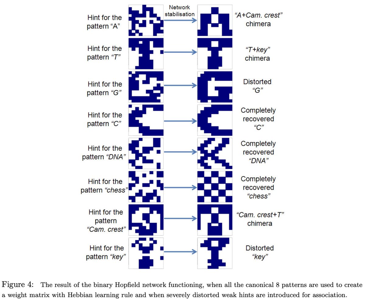 Hopfield networks - simulating memory and amnesia/brain damage for a computational neuroscience coursework in 2009 (Cambridge). PDF at dropbox.com/scl/fi/lgeyie2…