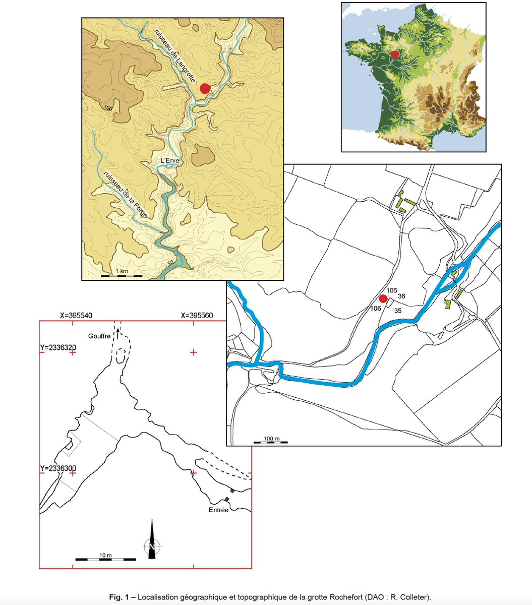Société préhistorique française tweet media