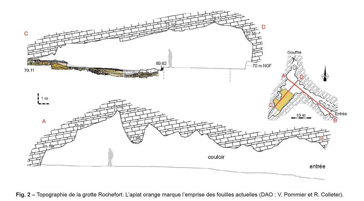 Société préhistorique française tweet media