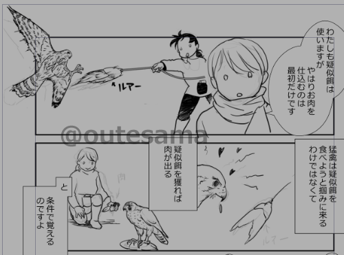 チュルガ。
疑似餌(ルアー)ですが、見た目、猛禽は違っても(イヌワシか、オオタカ、ハヤブサか)教え方は共通でした。 